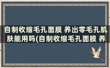 自制收缩毛孔面膜 养出零毛孔肌肤能用吗(自制收缩毛孔面膜 养出零毛孔肌肤可以用吗)